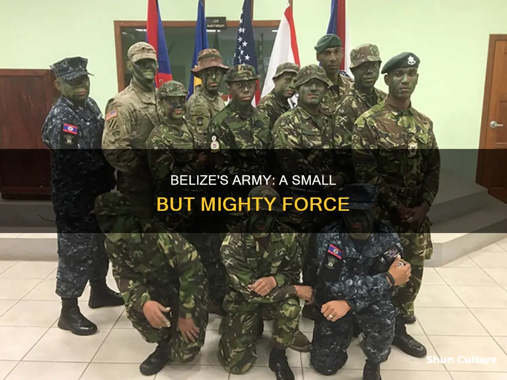 how big is belize army