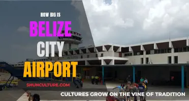 Belize City Airport: A Compact Gateway to Adventure