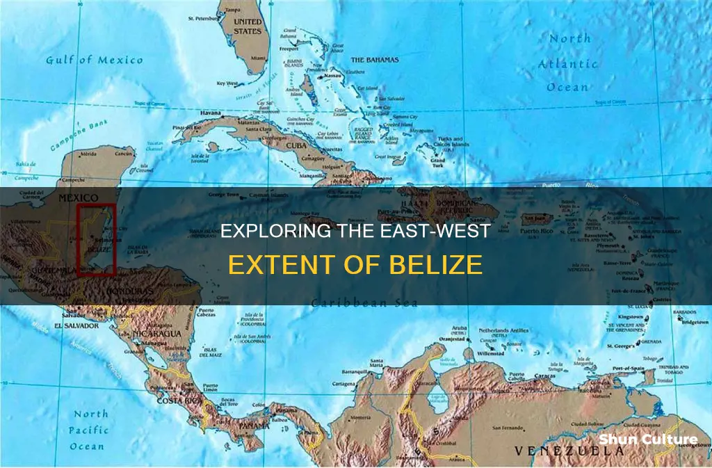 how big is belize east to west