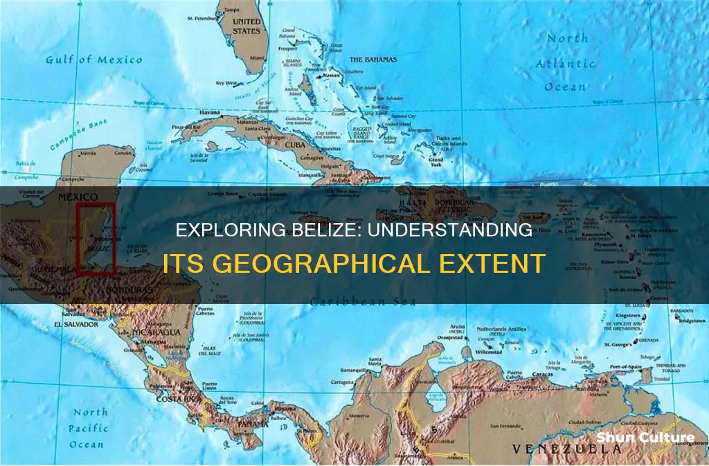 how big is belize in miles