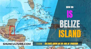 Belize Island: A Tropical Paradise's Size