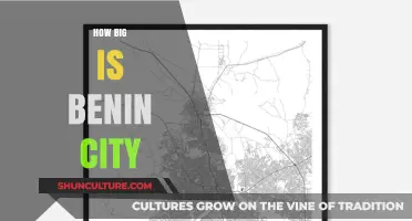 Exploring the Size and Splendor of Benin City: A Comprehensive Guide