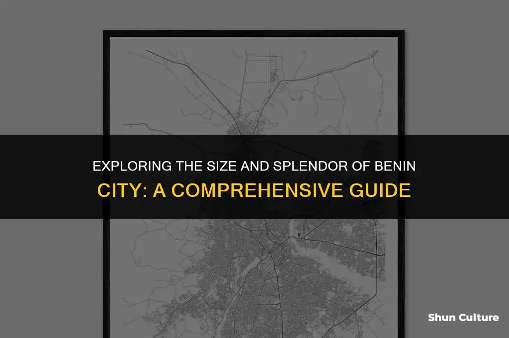 how big is benin city