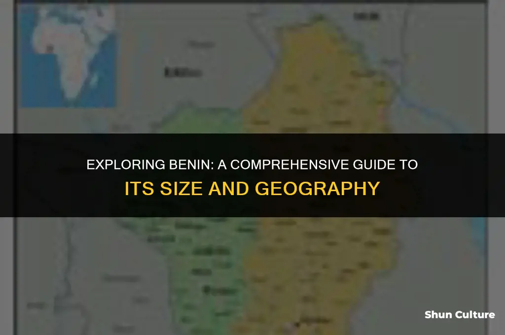 how big is benin