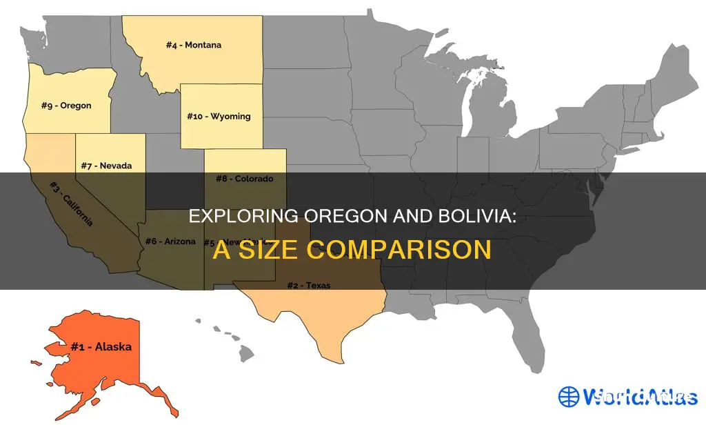 how big is bolivia compared to oregon