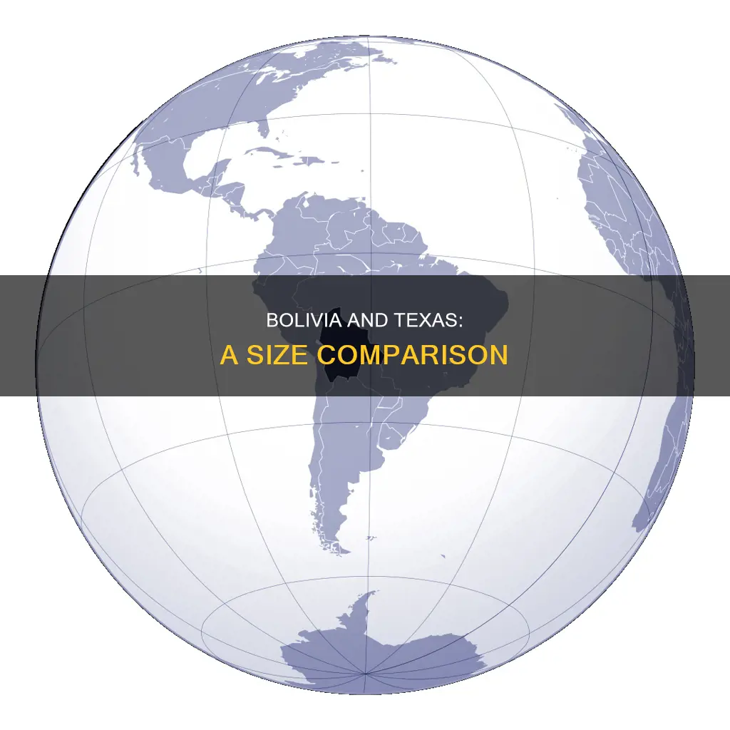 how big is bolivia compared to texas