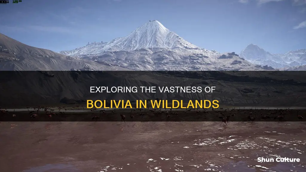 how big is bolivia in wildlands