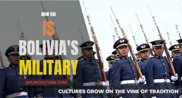 Bolivia's Military Might: A Comprehensive Overview