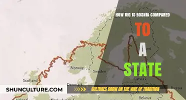Bosnia's Size Compared to a U.S. State: A Geographic Perspective