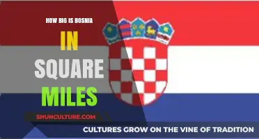 Exploring Bosnia's Size: Total Area in Square Miles Revealed