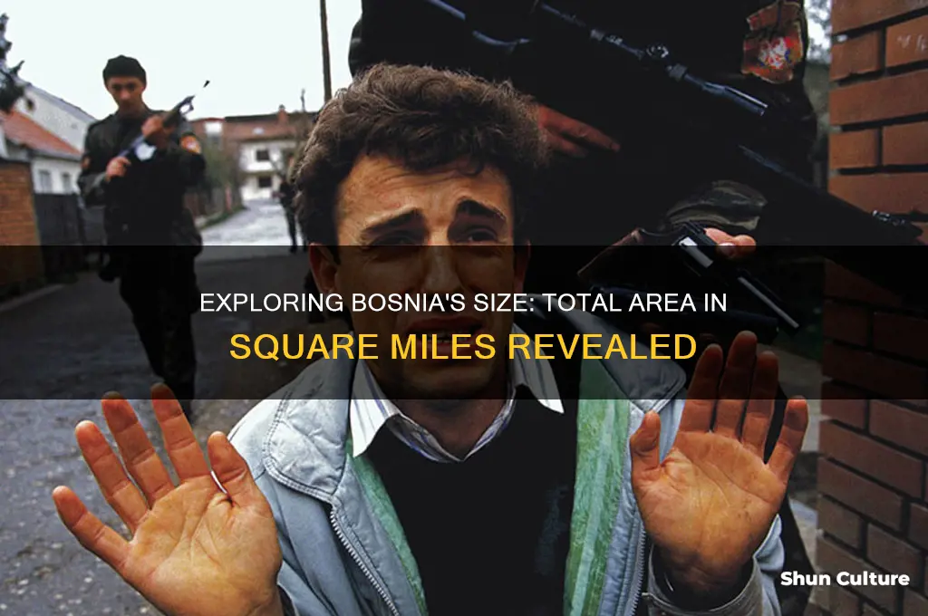 how big is bosnia in square miles
