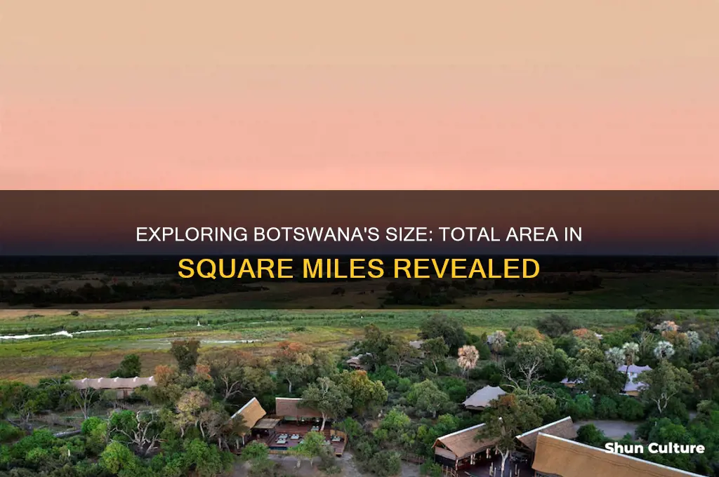 how big is botswana in square miles