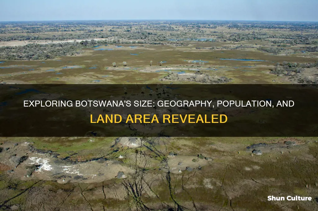 how big is botswana