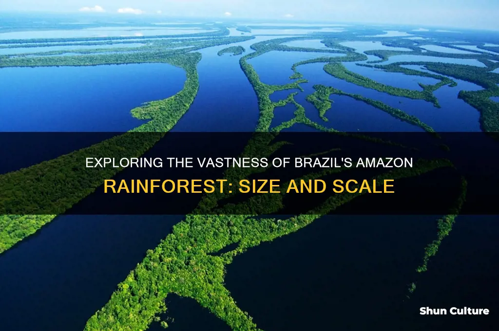how big is brazil amazon