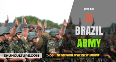 Brazil's Military Might: Exploring the Size and Strength of Its Army