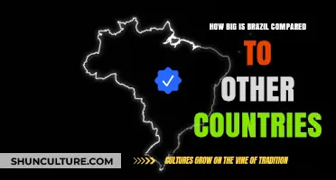 Brazil's Size: A Global Comparison of Land and Scale