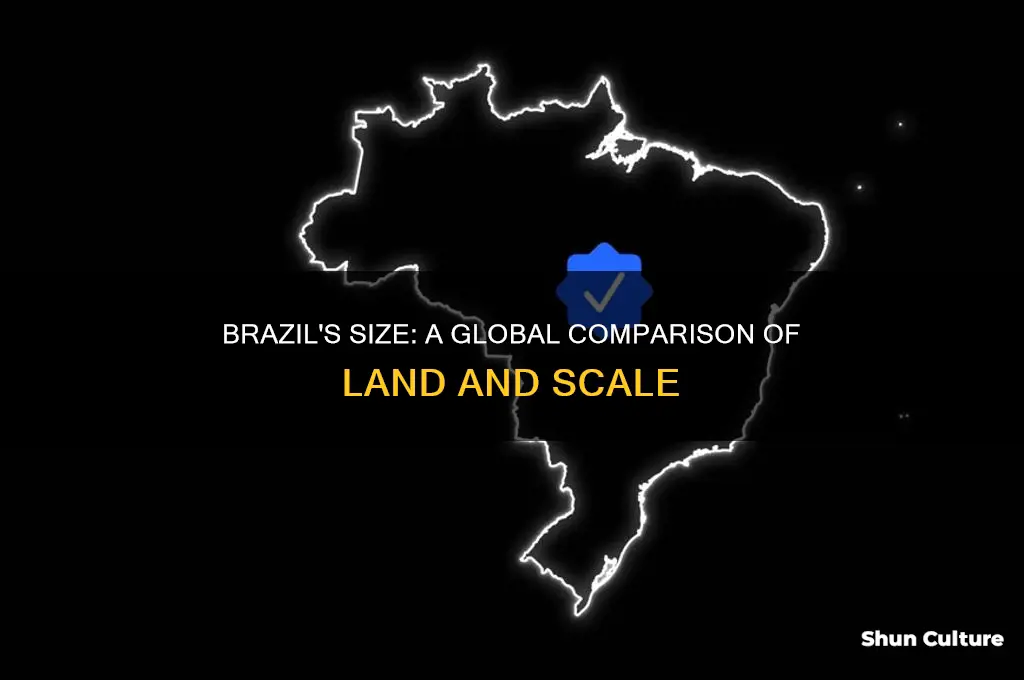 how big is brazil compared to other countries