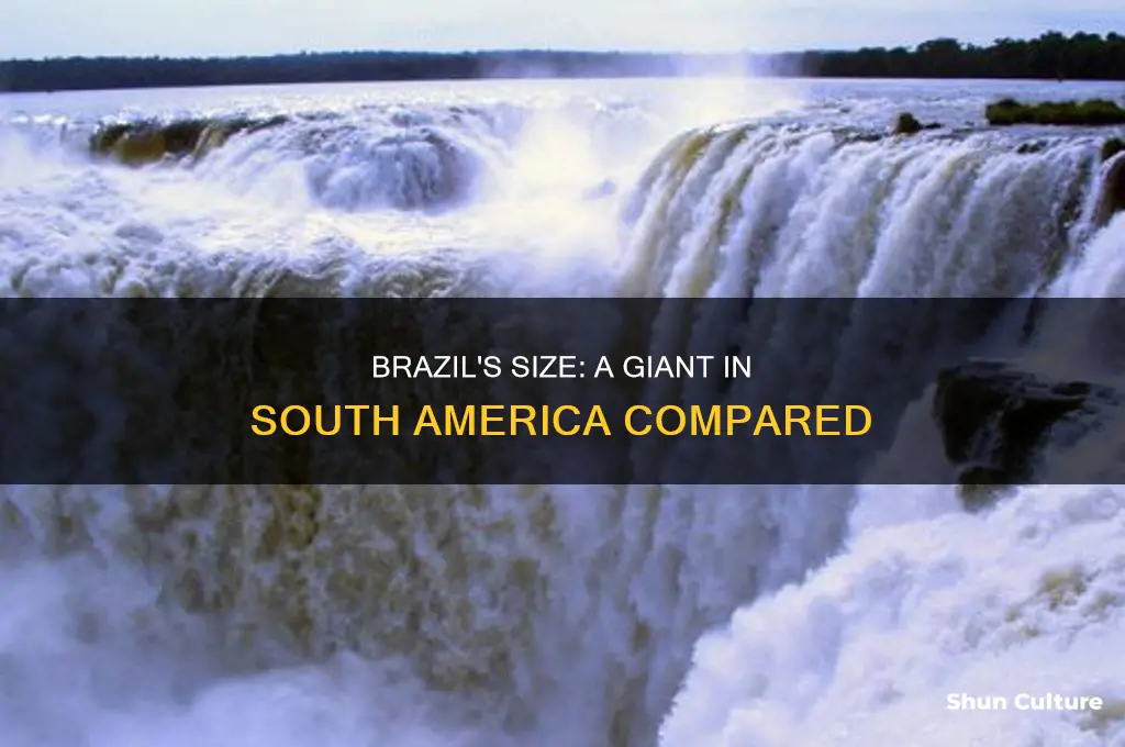 how big is brazil compared to south america