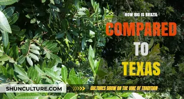 Brazil vs. Texas: Size Comparison and Geographical Insights