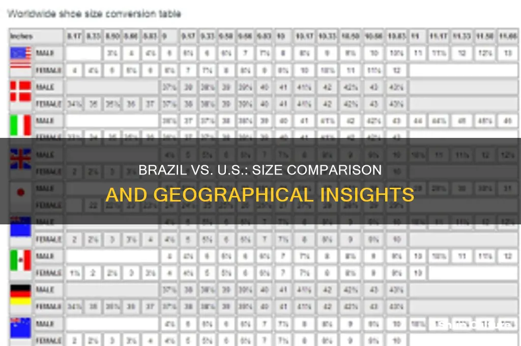 how big is brazil coompate to yhe u.s