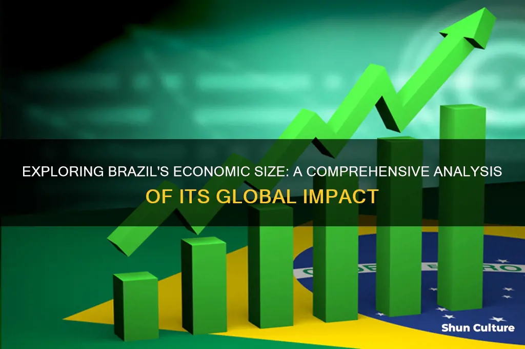 how big is brazil economy