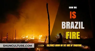 Brazil's Devastating Wildfires: Scale, Impact, and Urgent Environmental Concerns
