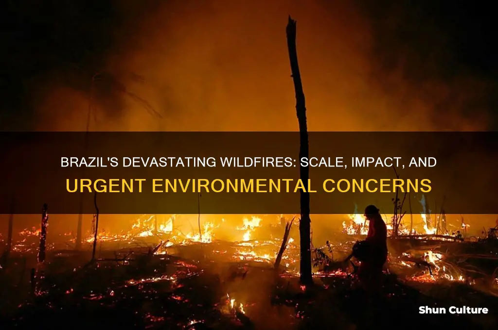 how big is brazil fire