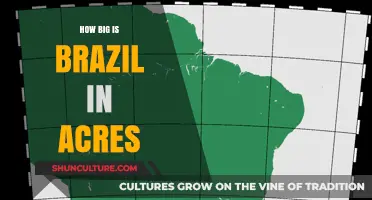 Exploring Brazil's Land Size: Total Acreage and Scale Revealed