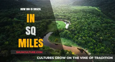 Exploring Brazil's Vast Size: Total Square Miles Revealed
