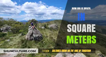 Exploring Brazil's Vast Size: Total Area in Square Meters Revealed