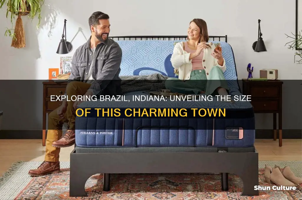 how big is brazil indiana