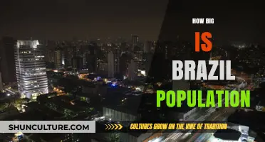 Exploring Brazil's Population Size: A Comprehensive Demographic Overview
