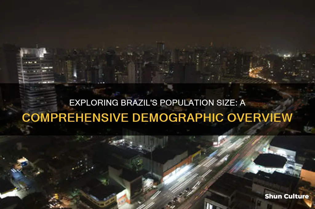 how big is brazil population