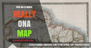 Brazil's True Size: Unveiling Its Surprising Map Dimensions