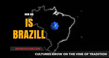 Exploring Brazil's Size: Land, Population, and Global Impact