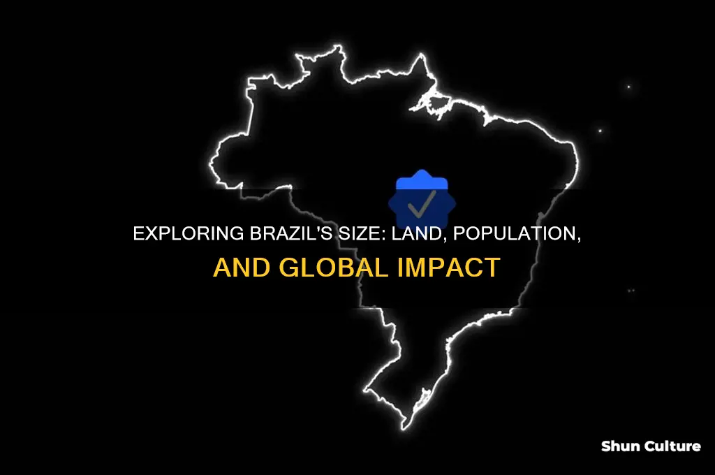 how big is brazill