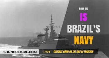 Brazil's Naval Power: Size, Strength, and Global Influence Explored