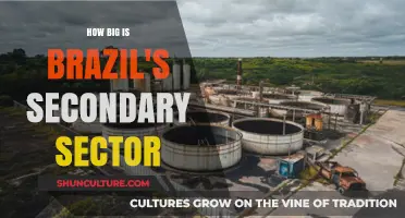 Brazil's Secondary Sector: Size, Impact, and Economic Significance Explored
