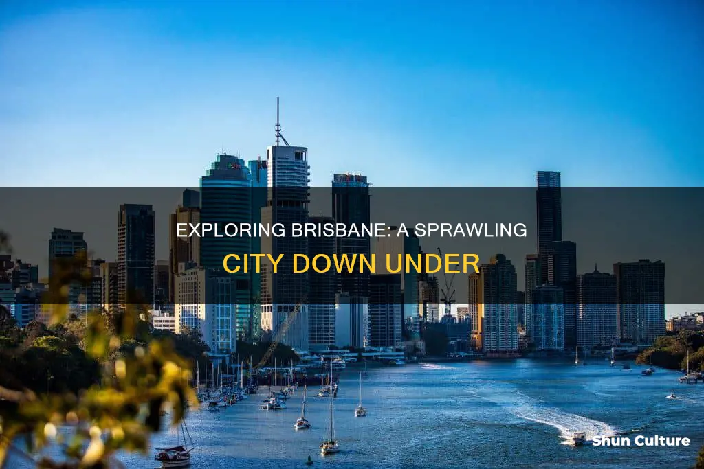 how big is brisbane australia