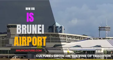 Brunei Airport: A Small Hub With Big Dreams