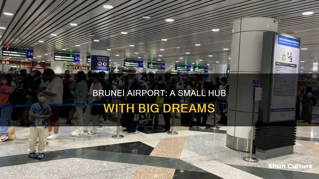 how big is brunei airport