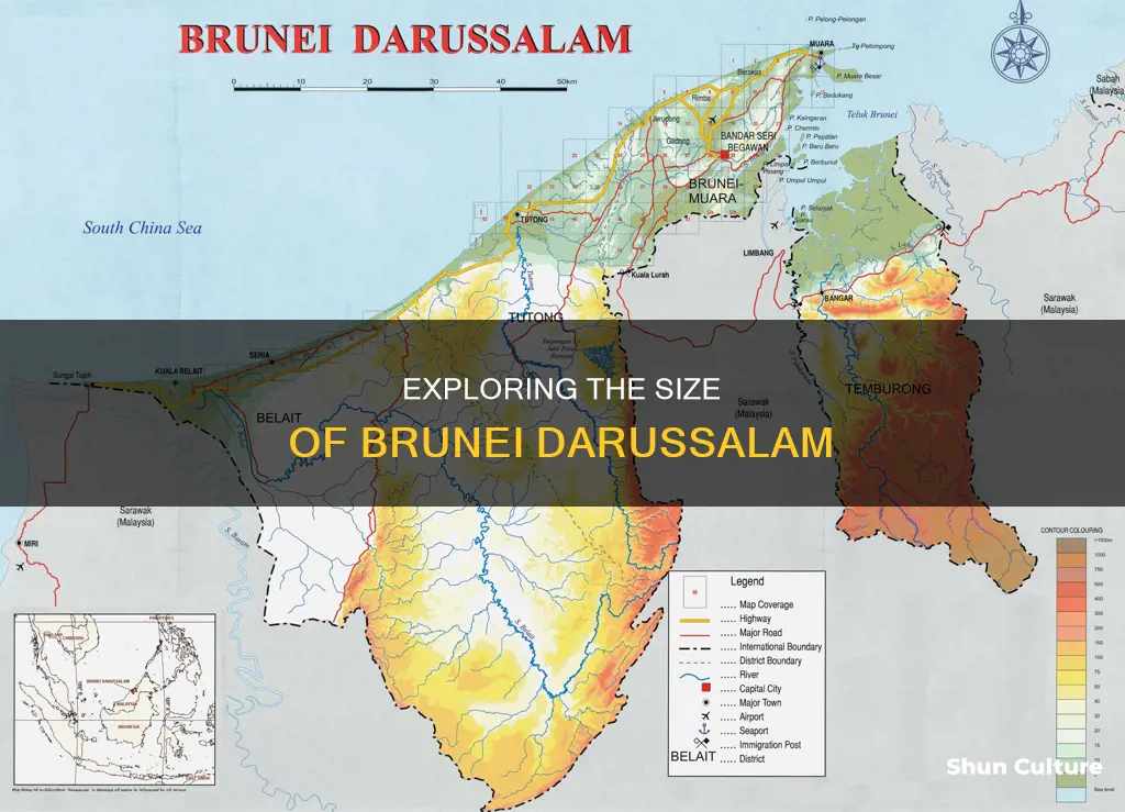 how big is brunei darussalam