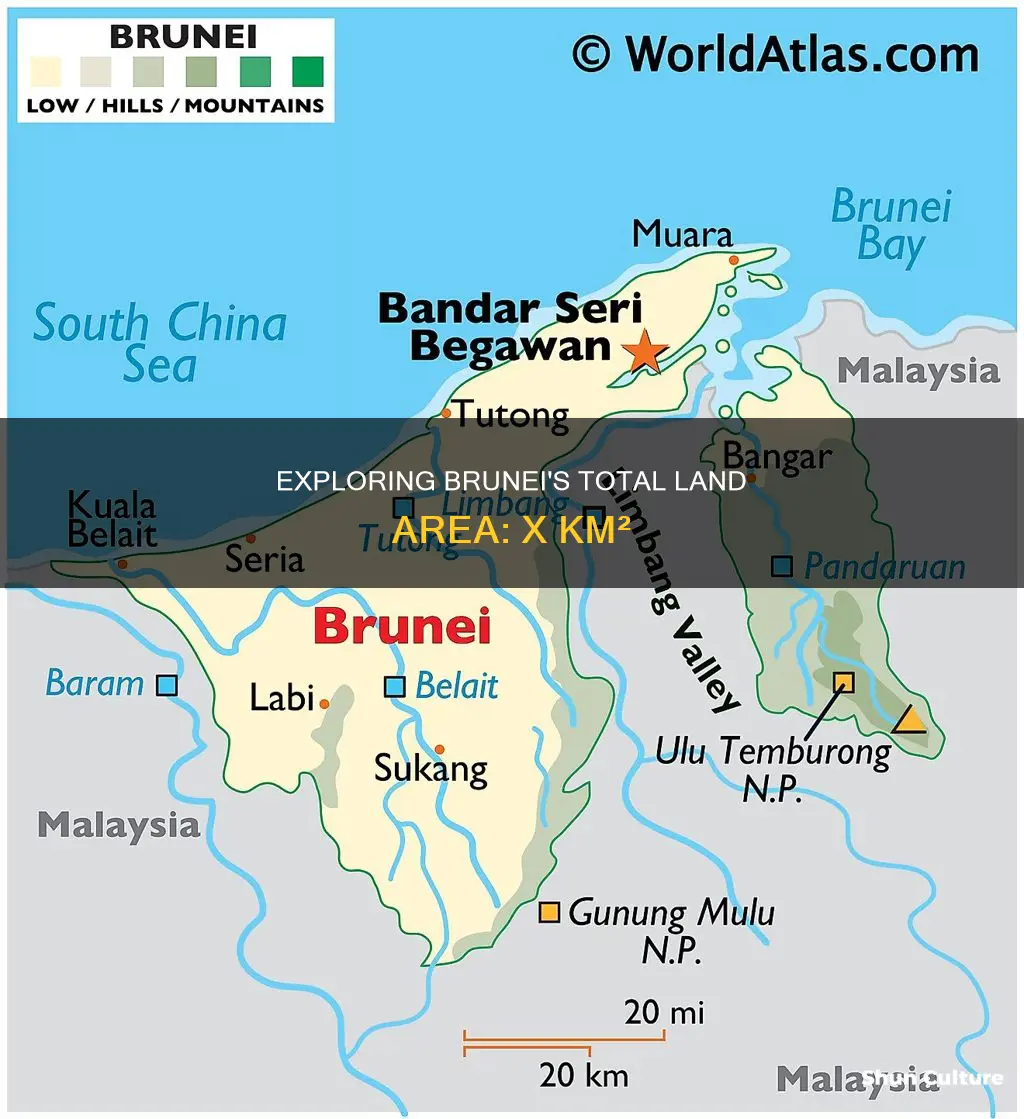 how big is brunei in km2