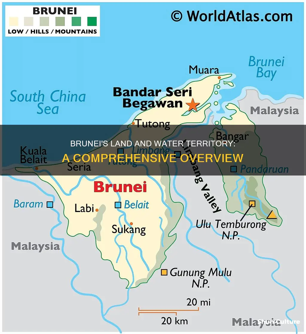 how big is brunei