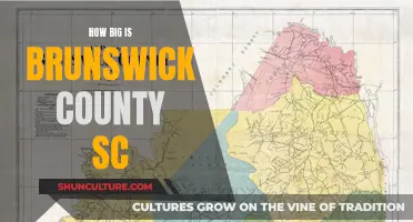 Brunswick County, SC: Size and Scope