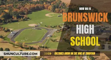 Brunswick High School: A Sizeable Education
