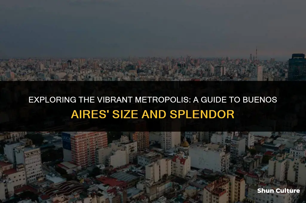 how big is buenos aires