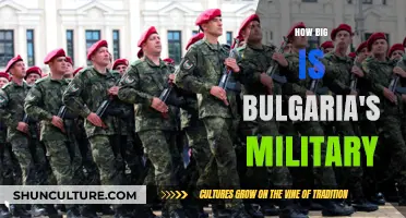 Bulgaria's Military Strength: A Comprehensive Overview