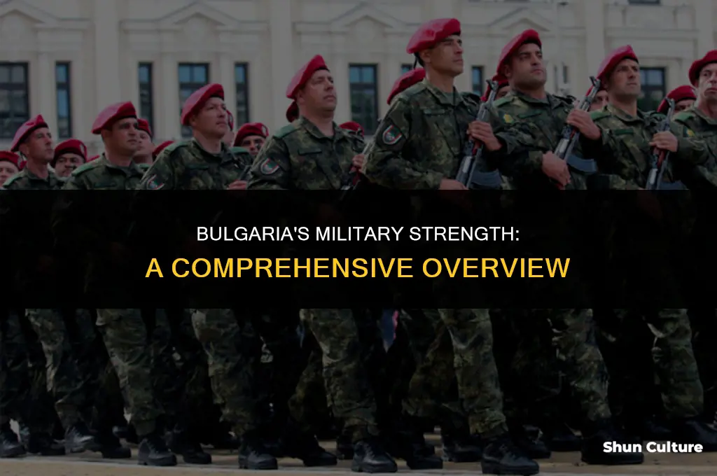 how big is bulgaria