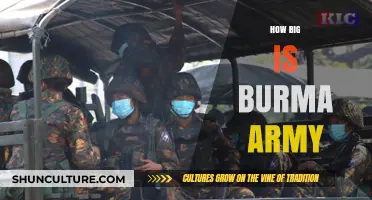 Unveiling the Strength: An In-Depth Look at the Burma Army